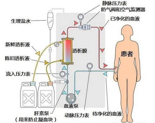 风水与疾病大肠的关,风水与疾病大肠的关联