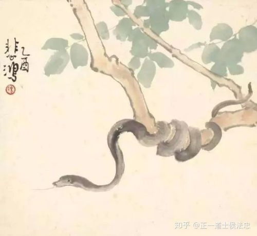 2026年属蛇和属马运势如何，今日出行吉凶如何判断？