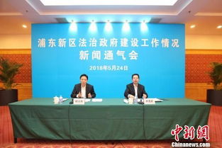 第一章：迷雾中的掌舵人——到底谁是那个“主任”？