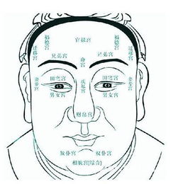 五行穿搭如何与个人命理相结合，打造个性化风格？