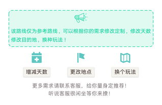 四、定制路线——随心所欲还是随波逐流？