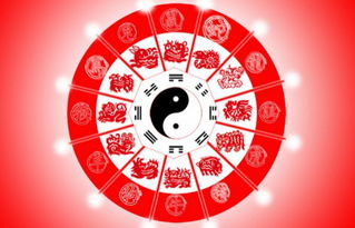 一、前言：八月十七日的迷雾与乱象