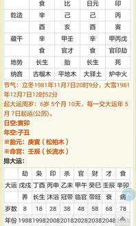 1.1 命理大概解释（乱七八糟）