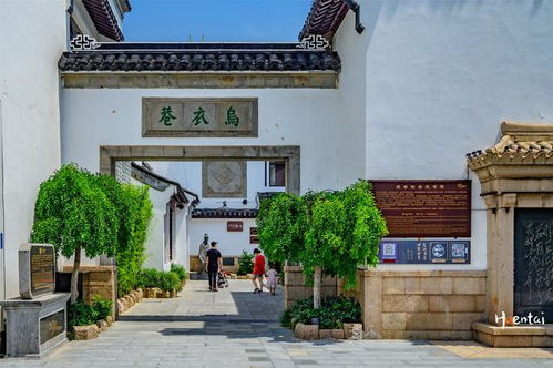 三、 避坑指南：如何避开那些雷区？