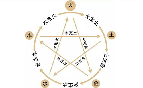 鸡年诞生五行缺木的女孩怎样取一个寓意吉祥的名字？