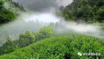 天然景观的魅力