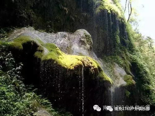 除了门票，金刀峡还有哪些不可错过的体验？
