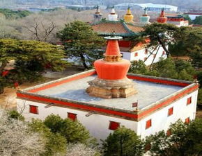 二、七家镇温泉：原始的野性魅力（别看名字咋样！）