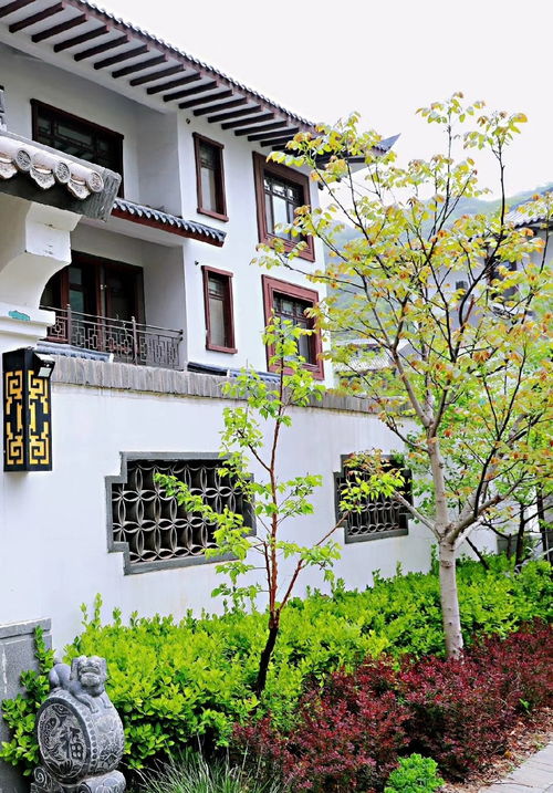 农村靠路边住宅风水,农村靠路边住宅风水
