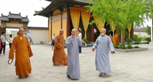 改名提议：从糟糕到绝妙