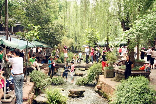 美食篇：宁津三大