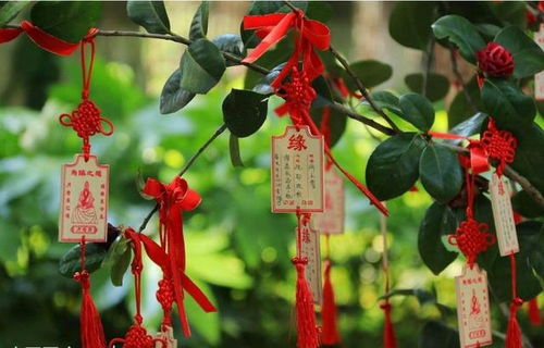 四、 红鸾星动了你会变啥样？面色红润眼睛水汪汪？