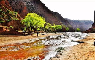 山里的人们烧水的方式