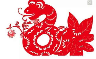 2026年属狗蛇年如何化解太岁？蛇年属狗的人犯太岁是什么意思？