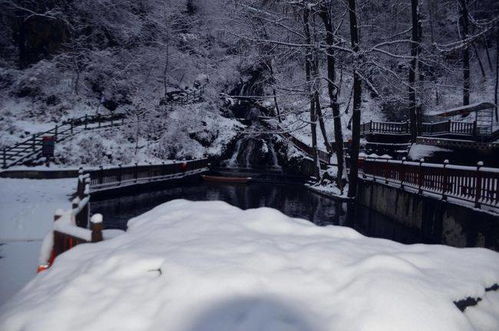 巨大理：风花雪月的诗意栖居，  性价比之王