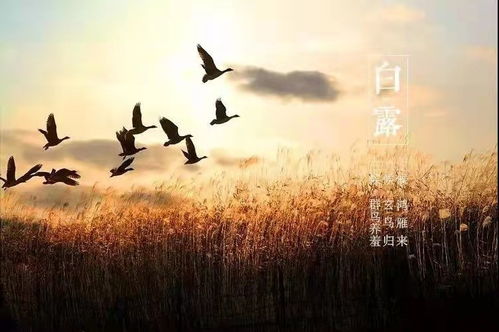 具体做法