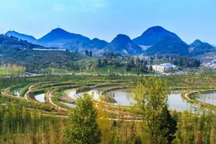 第四站：明湖湿地公园——湖光山色与鸟类留意