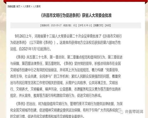 乱入段落：技术性错误与幽默自嘲