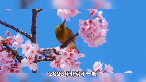 三做三忌的含义与实践方法解析