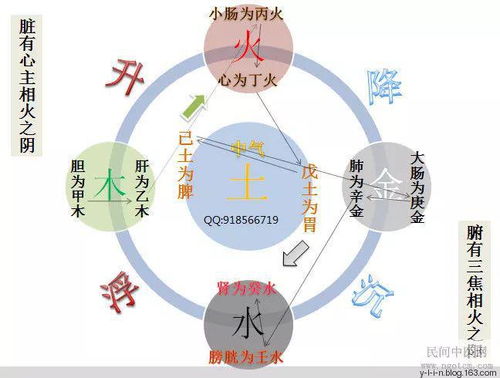 中医学中阴阳五行的基本概念是什么？