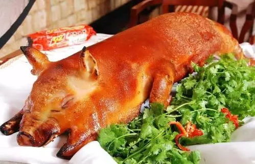 电器？小心变烤乳猪！