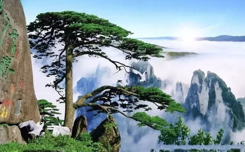 同行比较：其他旅行社的收费标准