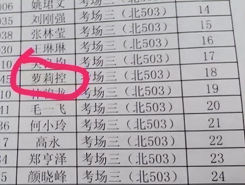 五、 四字豪华版——堆叠式奢华命名法（不保证合法）