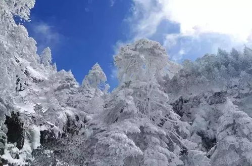 还在等什么？雪都要化了！