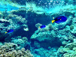 必玩景点：除了水族馆，这些冷门区才是熊孩子的天堂