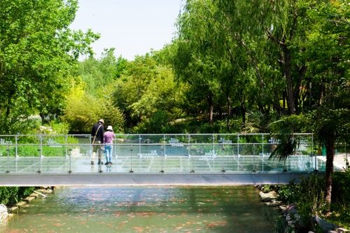 1. 郑州绿博园：城市里的绿洲