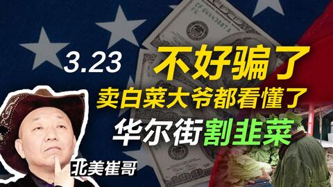 那些乱七八糟的码头傻傻分不清楚