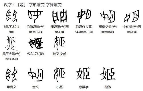 字形布局