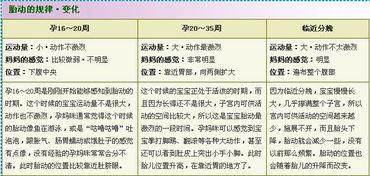 生肖和星座的玄学