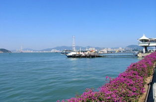 启东黄金海滩启东亲子游--黄金沙滩赶海拾贝~~ 休假自驾去的启东,一路上很嗨皮~~