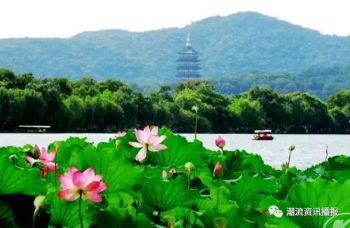 2. 如果你喜欢浪漫文艺 、自然风光秀丽的小城 ，那么杭州更适合你