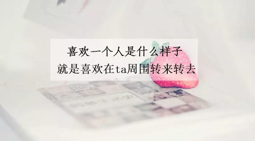八字怎么堪双子座的爱情,怎样堪出双子座真心喜欢一个人