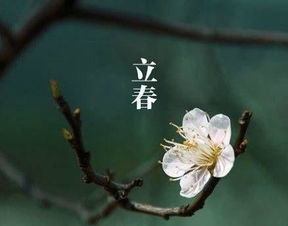 别让情绪把你带沟里去