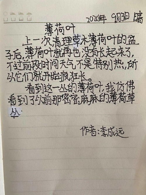 孙家小公主起名大作战！2025年最离谱指南