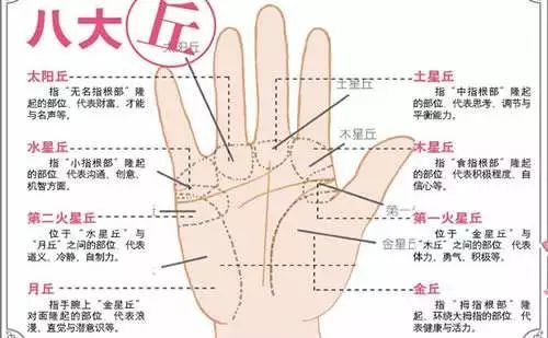 到底哪里才算肉厚？这是个严肃的问题