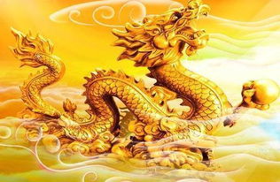 1988年属龙的人，五月二十六出生的八字命运，是属火还是属木呢？