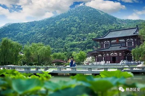 ⑦ 中山市四大必游景点速览（乱序）