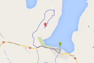 Day1：特卡波湖是什么鬼？老约翰的羊会骂人！