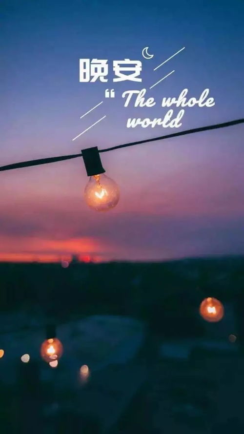 国学中的“虚”与“实”