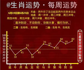 2025年老鼠运势大揭秘：一半是火焰一半是海水