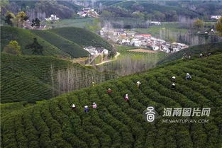 你可知道吗？