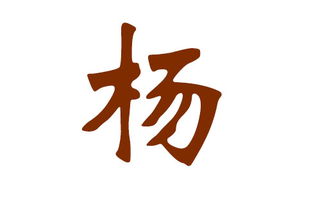 二、 杨姓背后的文化底蕴尘埃（顺便抖几句）