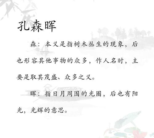 2. 子孔博睿