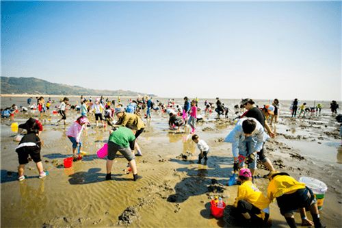 3. 北戴河泊里捕鱼岛飞地旅行度虚假区