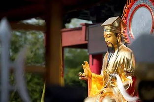 一、 金花夫人的传奇故事