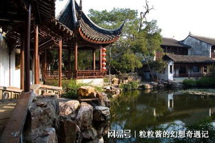 漫步苏州湾：一种生活的态度